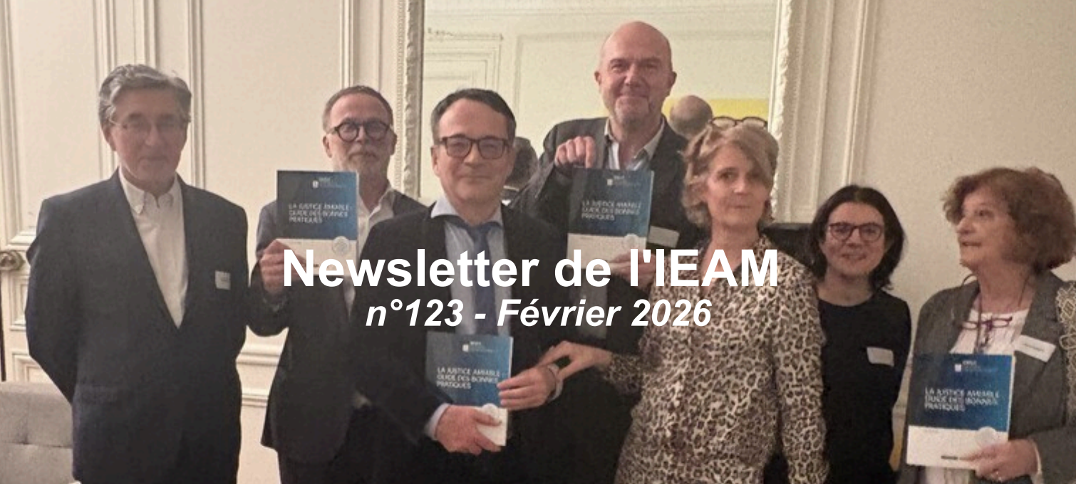 Capture d’écran 2026-02-13 à 15.25.42.png